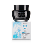 Taccia Fountain Pen Ink - 13 color options