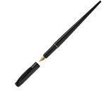 Platinum Desk Fountain Pen (Extra Fine)