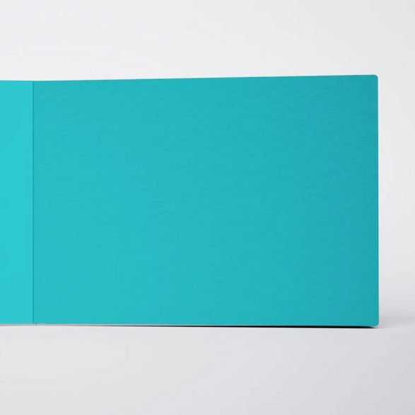 Large Ugly Book (Set of 3) - Pink + Teal
