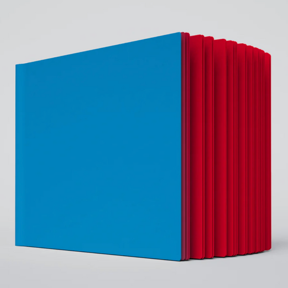 Large Ugly Book - Blue + Red
