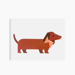 Mini Dachshund