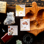Mushroom Recipes Stamp Sticker Sheet