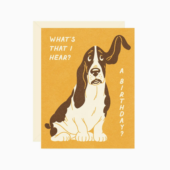 Basset Hound Birthday