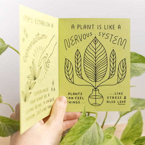 How to Keep a Plant Alive Zine