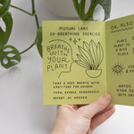 How to Keep a Plant Alive Zine