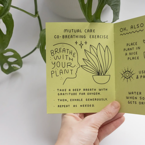 How to Keep a Plant Alive Zine