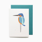 Mini Kingfisher