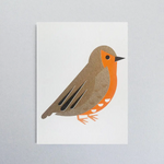 Mini Robin