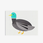 Mini Mallard Duck