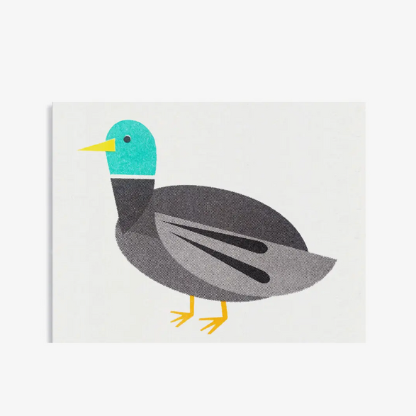 Mini Mallard Duck