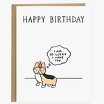 So Lucky Birthday Dog