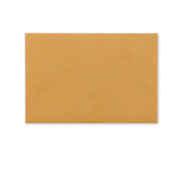 Traveler's Orange Envelopes - Set of 8