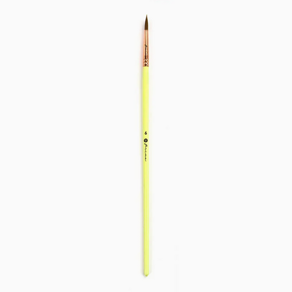 Watercolor Paint Brush - 6 Options