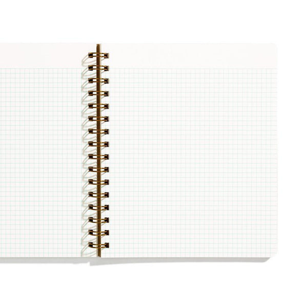Graph Shorthand Notebook: Mint