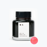 Kyoto Fountain Pen Ink - 10 colors