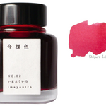 Kyoto Fountain Pen Ink - 10 colors